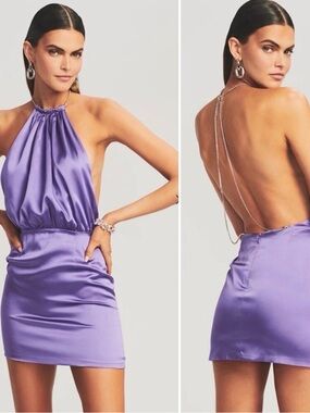 NWT Retrofete Large Violet Anahita Silk Dress